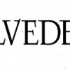 France: Belvedere records decline in sales