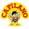 Australia: Capilano Honey profits spike upwards