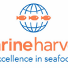 Norway: Marine Harvest reports record sales