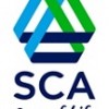 India: SCA to start production from 2015