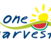 Australia: OneHarvest starts construction on new fresh salad facility