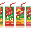 Brazil: Ebba launches Maguary “nectar with pieces”