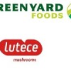 Netherlands: Greenyard Foods agrees to acquire Lutece