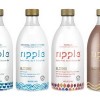 USA: Ripple Foods launches pea-based dairy alternative drink