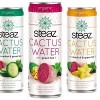 USA: Healthy Beverage launches Steaz Cactus Water
