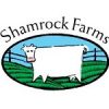 USA: Shamrock Farms to expand facility in Virginia